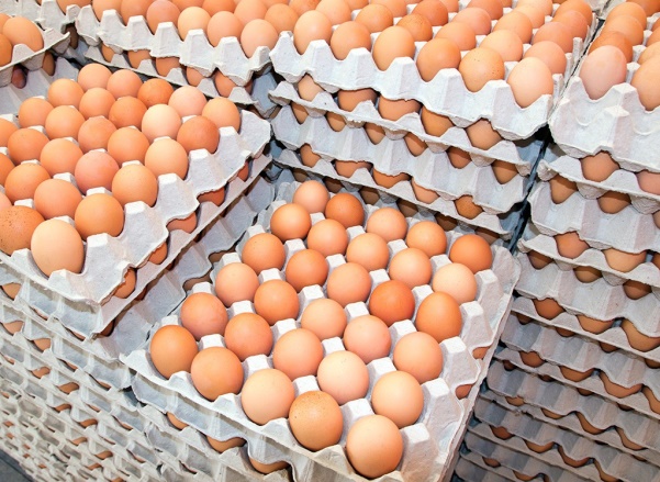 ������� ���� - ��� ����������.